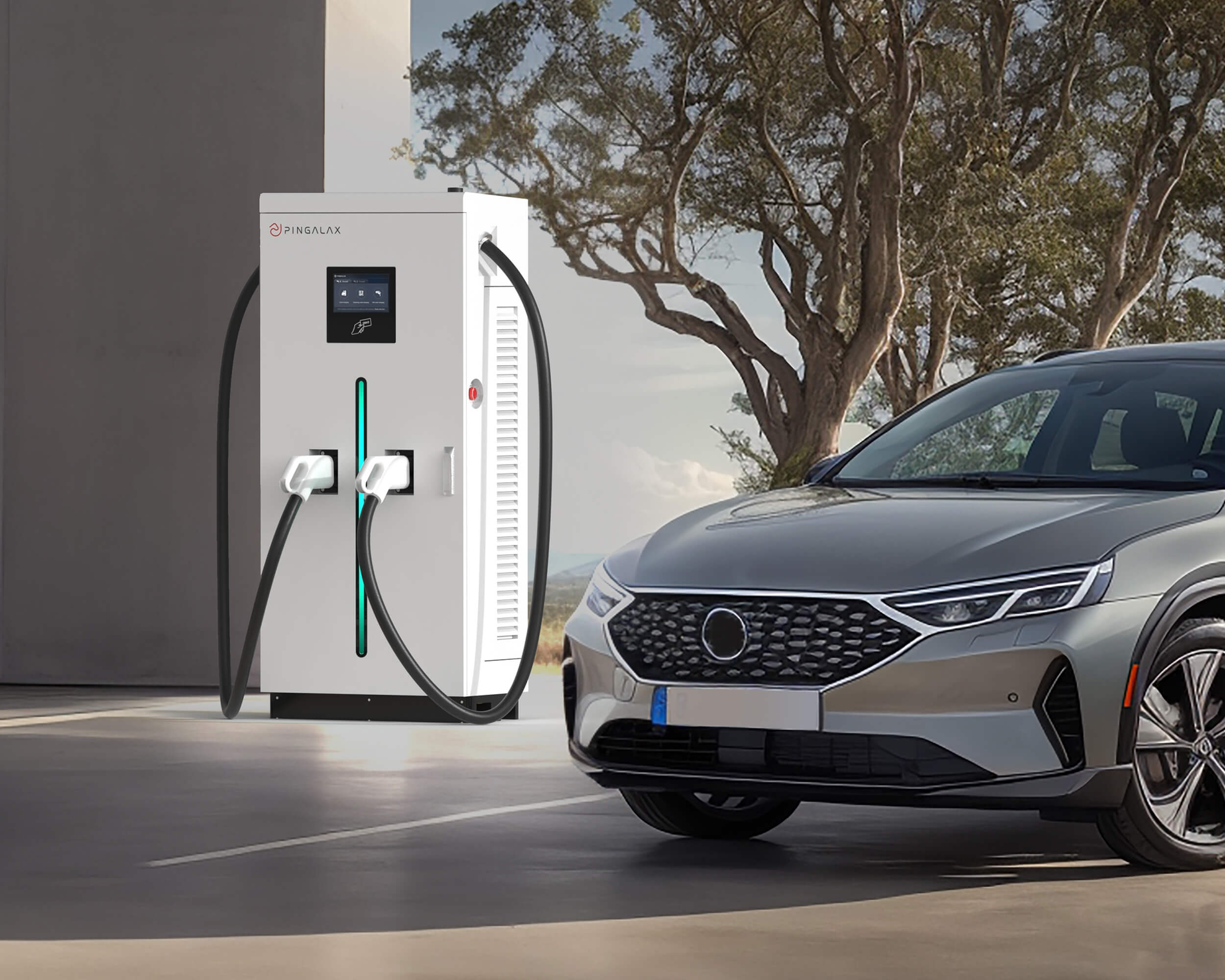 Public charging rollout background
